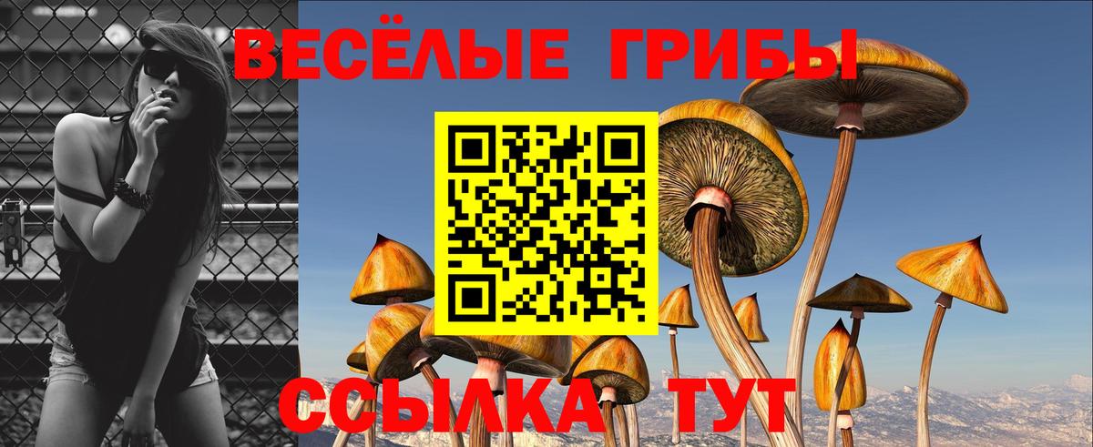 Псилоцибиновые грибы мухоморы Великий Новгород
